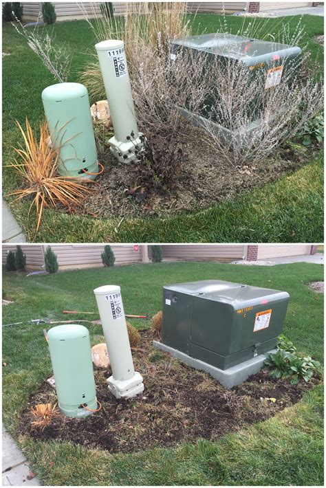 green electrical box in backyard|green utility box in yard.